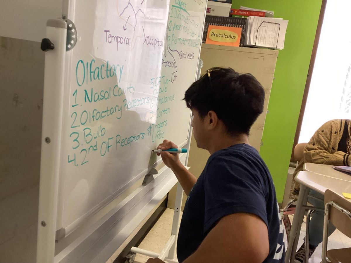 David Sanchez teaching the Neuroscience class. 