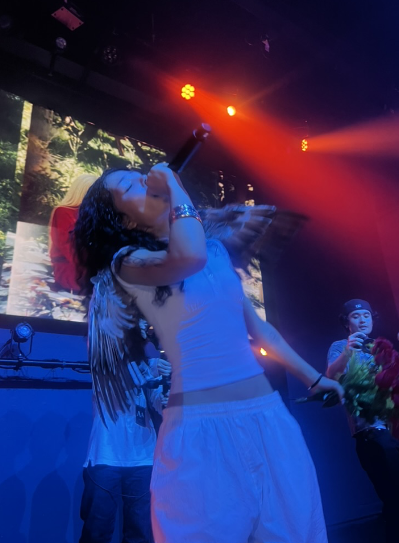 Concert in Washington DC, USA 